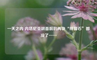 一天之内 内塔尼亚胡面前的两块“绊脚石”都没了……