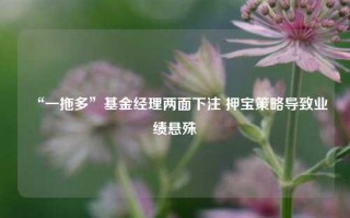 “一拖多”基金经理两面下注 押宝策略导致业绩悬殊