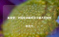 奚俊坚：中国经济展现出了强大的韧性和活力