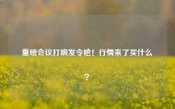 重磅会议打响发令枪！行情来了买什么？