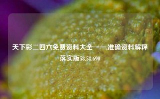 天下彩二四六免费资料大全一一,准确资料解释落实版58.58.690