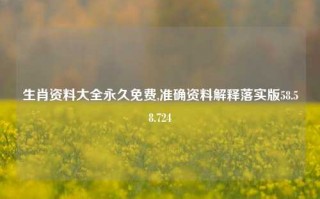 生肖资料大全永久免费,准确资料解释落实版58.58.724