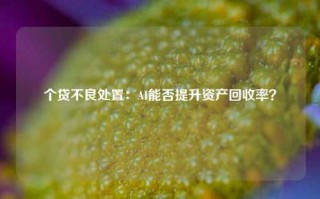 个贷不良处置：AI能否提升资产回收率？