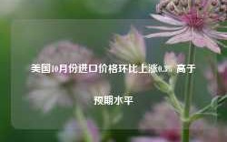 美国10月份进口价格环比上涨0.3% 高于预期水平