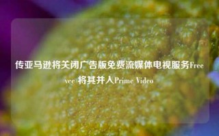 传亚马逊将关闭广告版免费流媒体电视服务Freevee 将其并入Prime Video