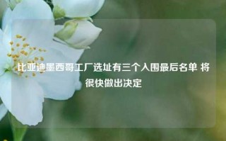 比亚迪墨西哥工厂选址有三个入围最后名单 将很快做出决定