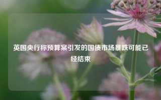 英国央行称预算案引发的国债市场暴跌可能已经结束