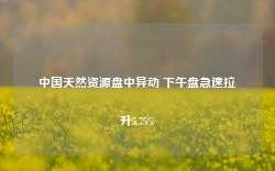 中国天然资源盘中异动 下午盘急速拉升5.75%