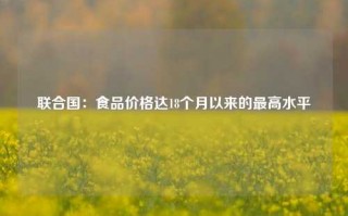 联合国：食品价格达18个月以来的最高水平