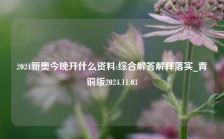 2024新奥今晚开什么资料:综合解答解释落实_青铜版2024.11.03