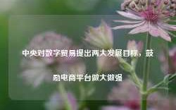 中央对数字贸易提出两大发展目标，鼓励电商平台做大做强