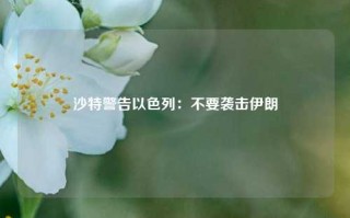 沙特警告以色列：不要袭击伊朗