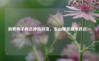 消费电子概念冲高回落，东山精密跳水跌近5%