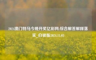 2024澳门特马今晚开奖亿彩网:综合解答解释落实_白银版2024.11.03