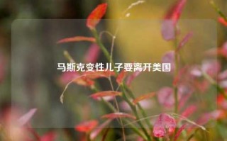 马斯克变性儿子要离开美国