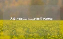 大摩上调Bloom Energy目标价至28美元