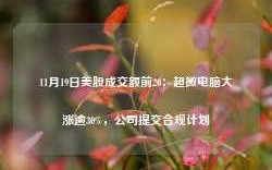 11月19日美股成交额前20：超微电脑大涨逾30%，公司提交合规计划