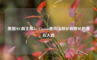 美国SEC前主席Jay Clayton是司法部长和财长的潜在人选