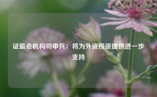 证监会机构司申兵：将为外资投资提供进一步支持