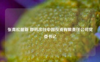 张青松履新 即将出任中国投资有限责任公司党委书记