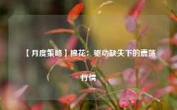 【月度策略】棉花：驱动缺失下的震荡行情