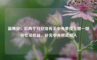 蓝佛安：后两个月安排有关中央单位上缴一部分专项收益，补充中央财政收入