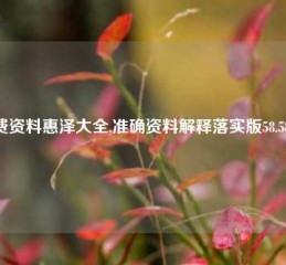 免费资料惠泽大全,准确资料解释落实版58.58.718