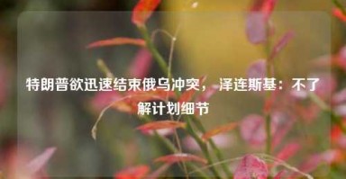 特朗普欲迅速结束俄乌冲突， 泽连斯基：不了解计划细节