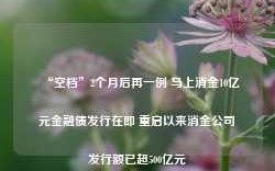 “空档”2个月后再一例 马上消金10亿元金融债发行在即 重启以来消金公司发行额已超500亿元