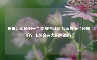 陈果：市场的一个普遍性问题 政策算符合预期吗？市场会有大的回调吗