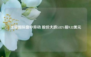 玉柴国际盘中异动 股价大跌5.82%报9.32美元