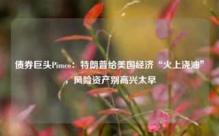 债券巨头Pimco：特朗普给美国经济“火上浇油”，风险资产别高兴太早