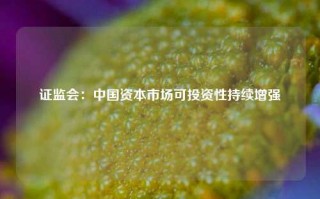 证监会：中国资本市场可投资性持续增强