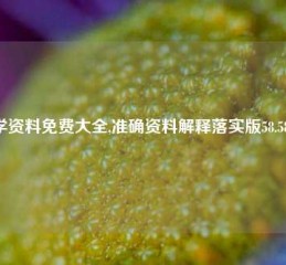 数学资料免费大全,准确资料解释落实版58.58.686