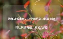 数年诉讼未果，辽宁葫芦岛1.2亿元土地转让纠纷背后，真相几何？