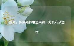 刚刚，陈果疑似看空美股，尤其六朵金花