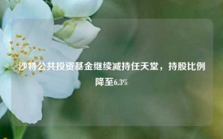 沙特公共投资基金继续减持任天堂，持股比例降至6.3%