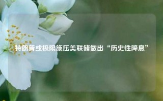 特朗普或极限施压美联储做出“历史性降息”