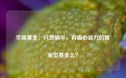 华商基金：只想躺平，有省心省力的管家型基金么？