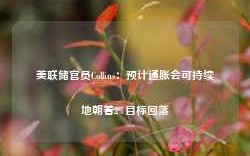 美联储官员Collins：预计通胀会可持续地朝着2%目标回落