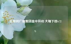 比斯利广播集团盘中异动 大幅下挫6.72%