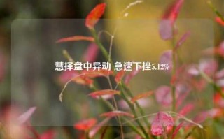 慧择盘中异动 急速下挫5.12%