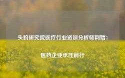 头豹研究院医疗行业资深分析师荆婧：医药企业承压前行