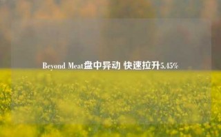 Beyond Meat盘中异动 快速拉升5.45%