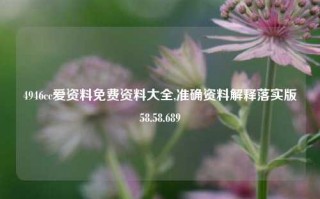 4946cc爱资料免费资料大全,准确资料解释落实版58.58.689