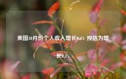 美国10月份个人收入增长0.6% 预估为增长0.3%