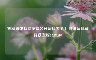 管家婆中特网免费公开资料大全丨,准确资料解释落实版58.58.699