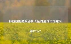 特朗普的财政部长人选对全球市场意味着什么？