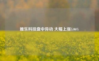 雅乐科技盘中异动 大幅上涨5.06%