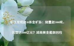 平江发现超40条金矿脉：储量超1000吨，估值达6000亿元？湖南黄金最新回应